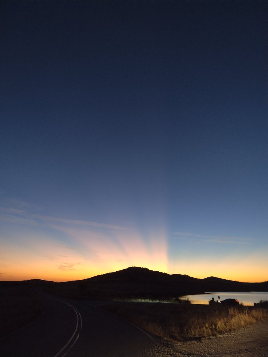 Codayo.0 tweet media