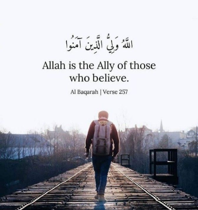 amirch_66's tweet photo. السَّلاَمُ عَلَيْكُمْ............ GOOD MORNING 
اے اللہ !!
میں شکستہ دل کے ساتھ تیرے حضور حاضر ہوں 
اور اپنی تمام تکا لیف، پریشانیاں ، دکھ ، مصیبتیں اور گناہ  تیرے حضور پیش کرتا ہوں 
تو اپنی شان کے مطابق انکو خوشیوں ، آسانیوں ، راحتوں اور نیکیوں میں تبدیل کر دے ۔
 *یااللہ* میں تجھ سے تیرے  پاک اور بابرکت ناموں کے ذریعے سے ہر طرح کی خیر ، برکت اور بھلائی کا سوال کرتا ہوں ،
 *یااللہ* ساری امت محمدﷺ پر ہر لمحہ اپنا خاص فضل ، کرم اور رحمت و برکت نازل فرما ۔
 *یااللہ* ہمارے والدین ، ہمارے اساتذہ اور تمام مومن مرحومین کو معاف فرما ، بخش دے اور جنت میں بلند مقام عطا فرما۔
 *آمین یااللہ پاک آمین*