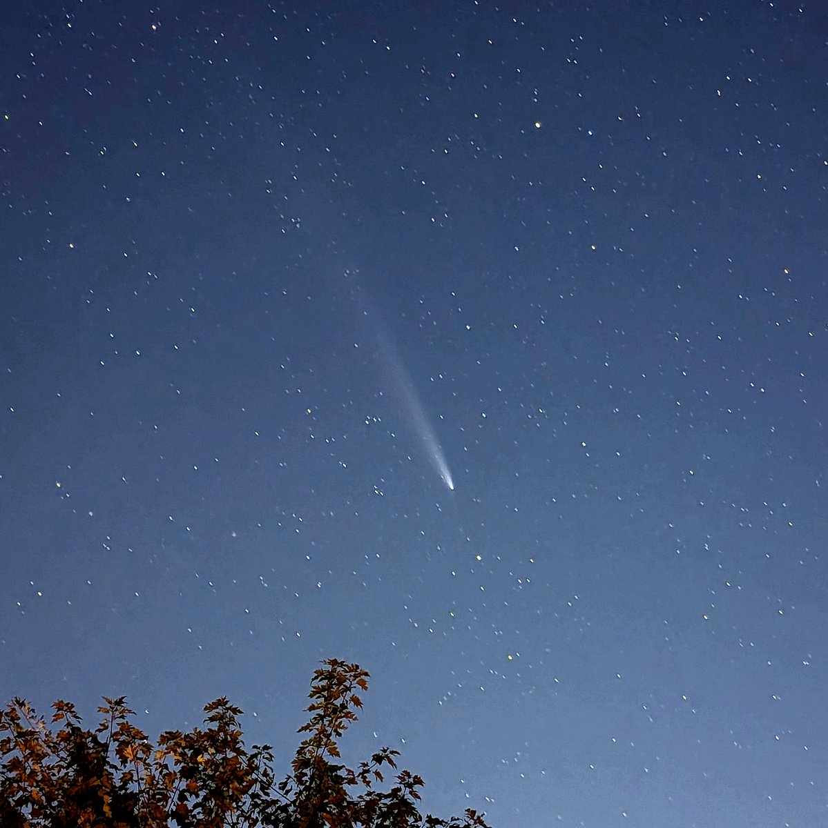 skream's tweet image. Comet Tsuchinshan-ATLAS, Jessamine County Kentucky 0ct 20, Pixel 7Pro #comet @Kentuckyweather