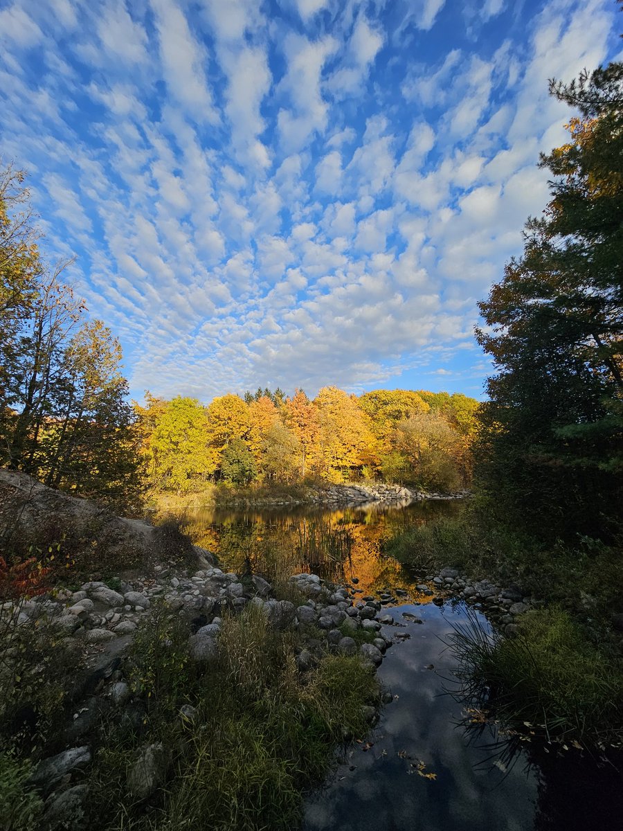 20C on an incredible Sunday in Ottawa was the perfect time for a bike ride and walk with the fam jam.