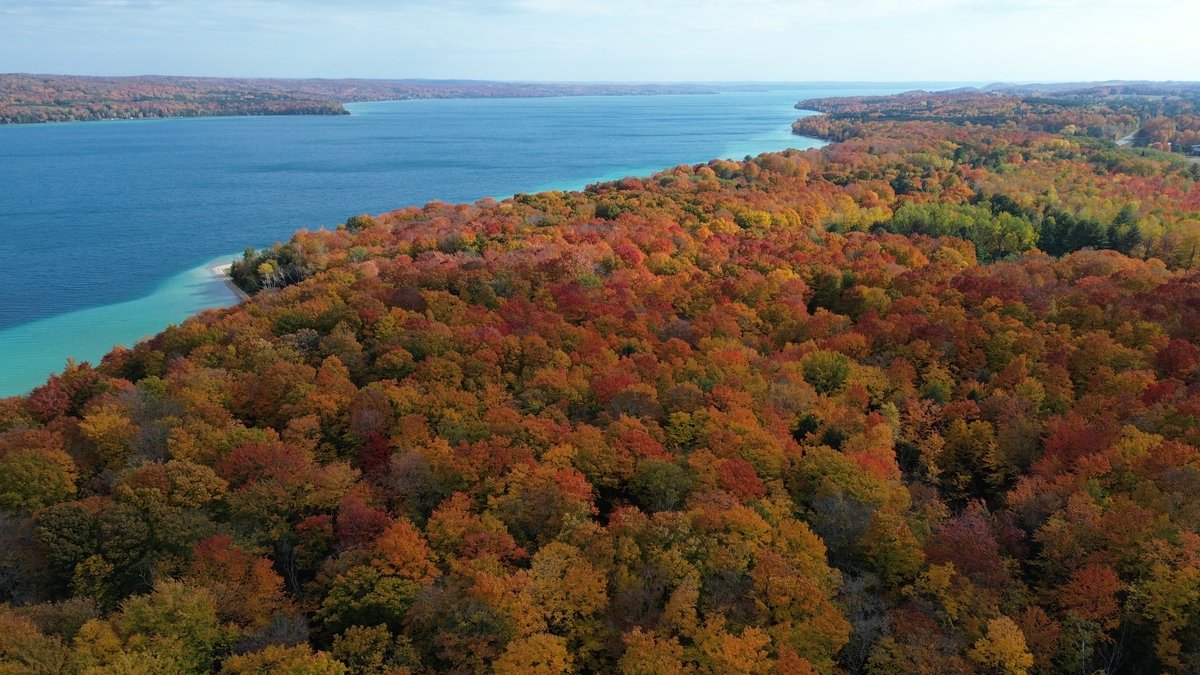ganobleberries's tweet image. Torch Lake. I took a lot here, these are just a few...