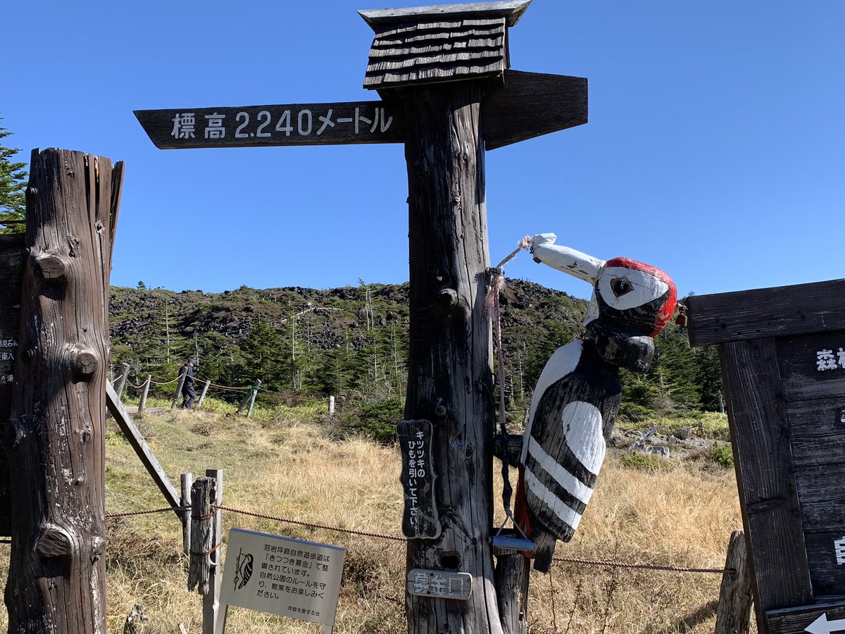 一泊二日八ヶ岳⛰️
今日はここから行って来ます。
天気最高☀️で期待大です👍