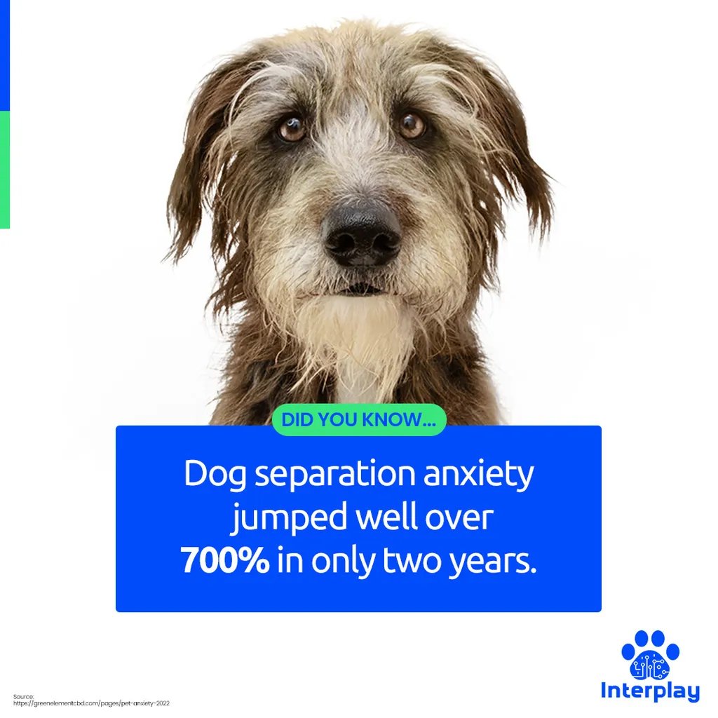 Interplay is here to support both pets and pet parents, helping create a calm and secure environment. 🐾 #PetAnxiety #HappyPets #PetParentSupport