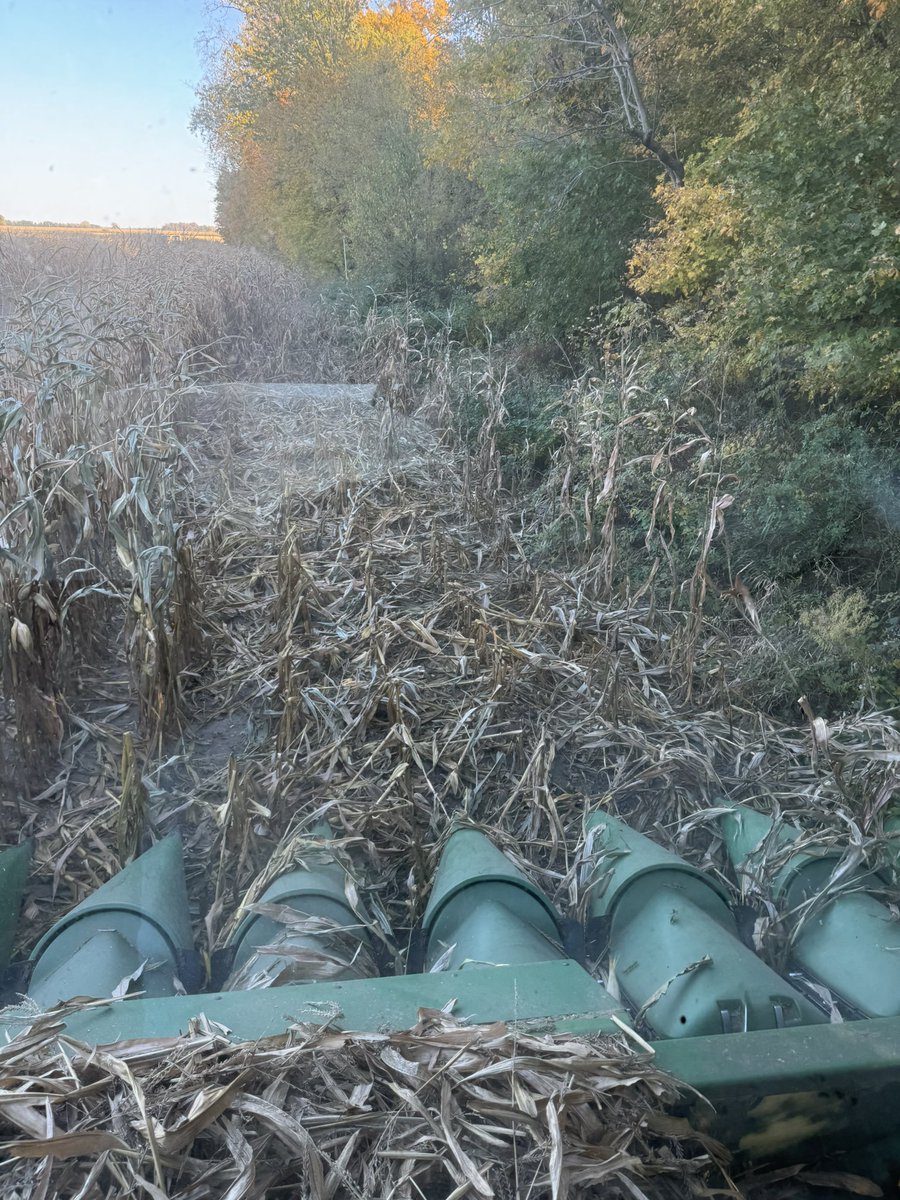 Brian Early tweet media