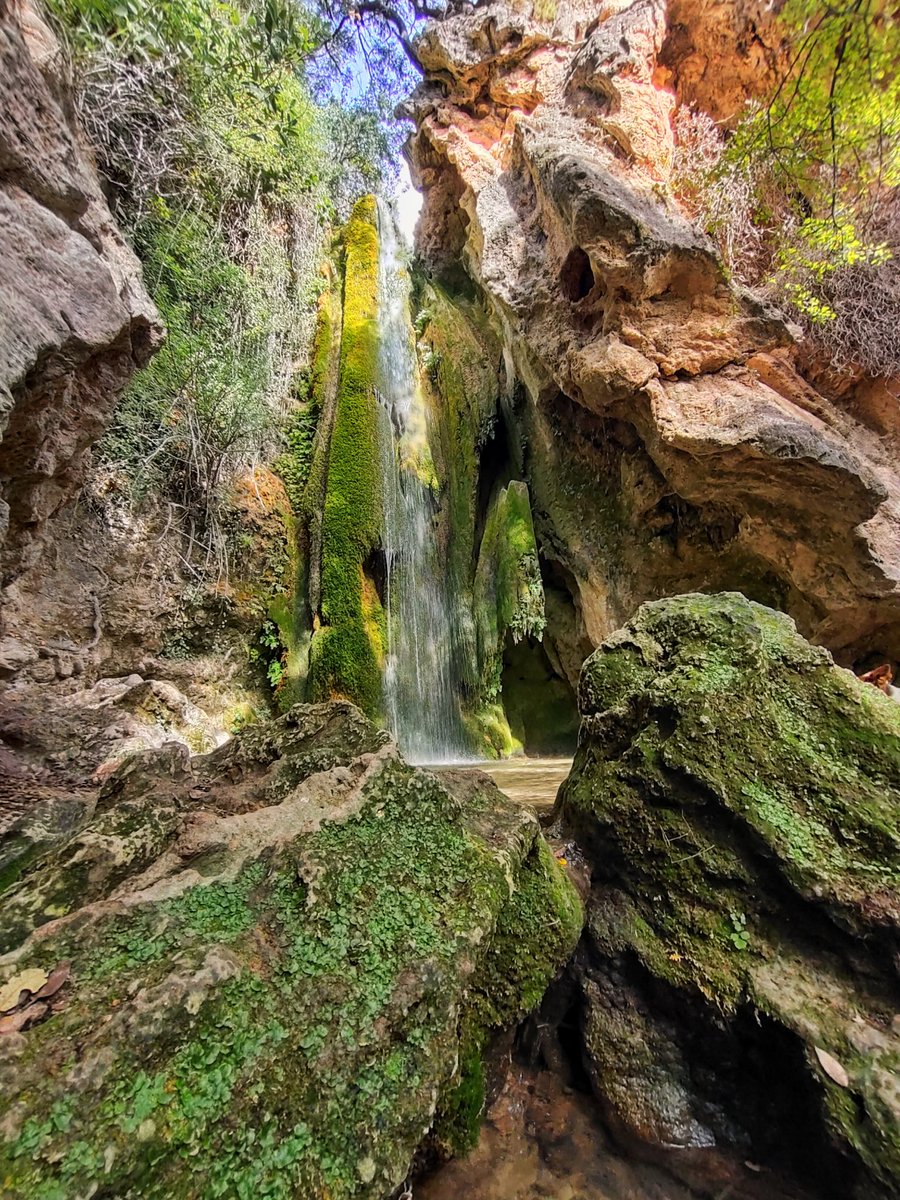 RubenPardoGeo's tweet photo. Otoño en el Parque Natural de la Sierra de Huétor. #Granada #ParqueNatural #Otoño #Naturaleza https://t.co/rRY1vbdcDf