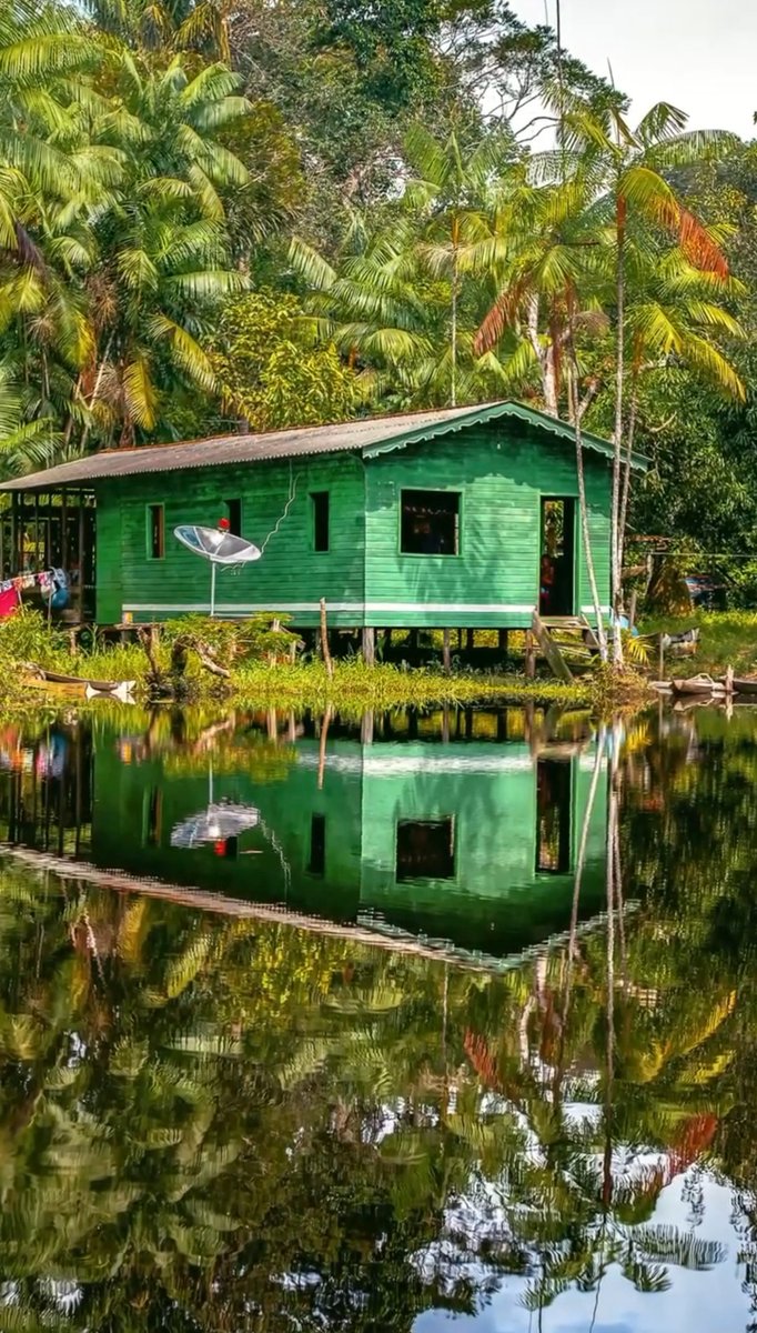 O_Vigiense's tweet photo. Pará  - 
               Amazônia - 
                                       Norte - 
                                                       Brasil https://t.co/DreNYh568j