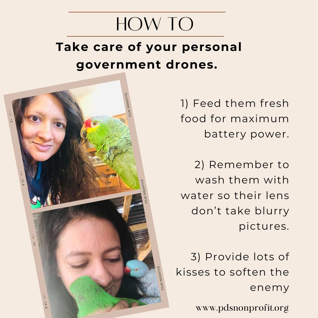 RealParrotLady's tweet photo. https://t.co/FmBtcVje59