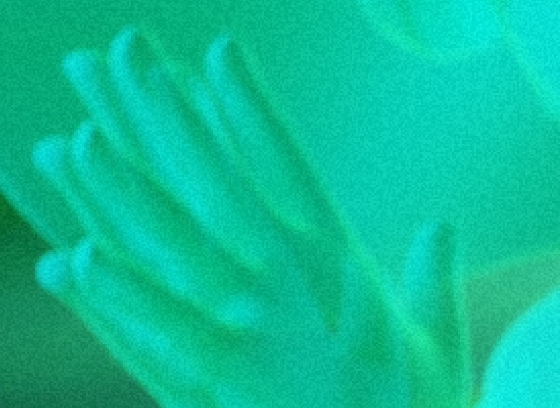 Coda (@codaanim) on X