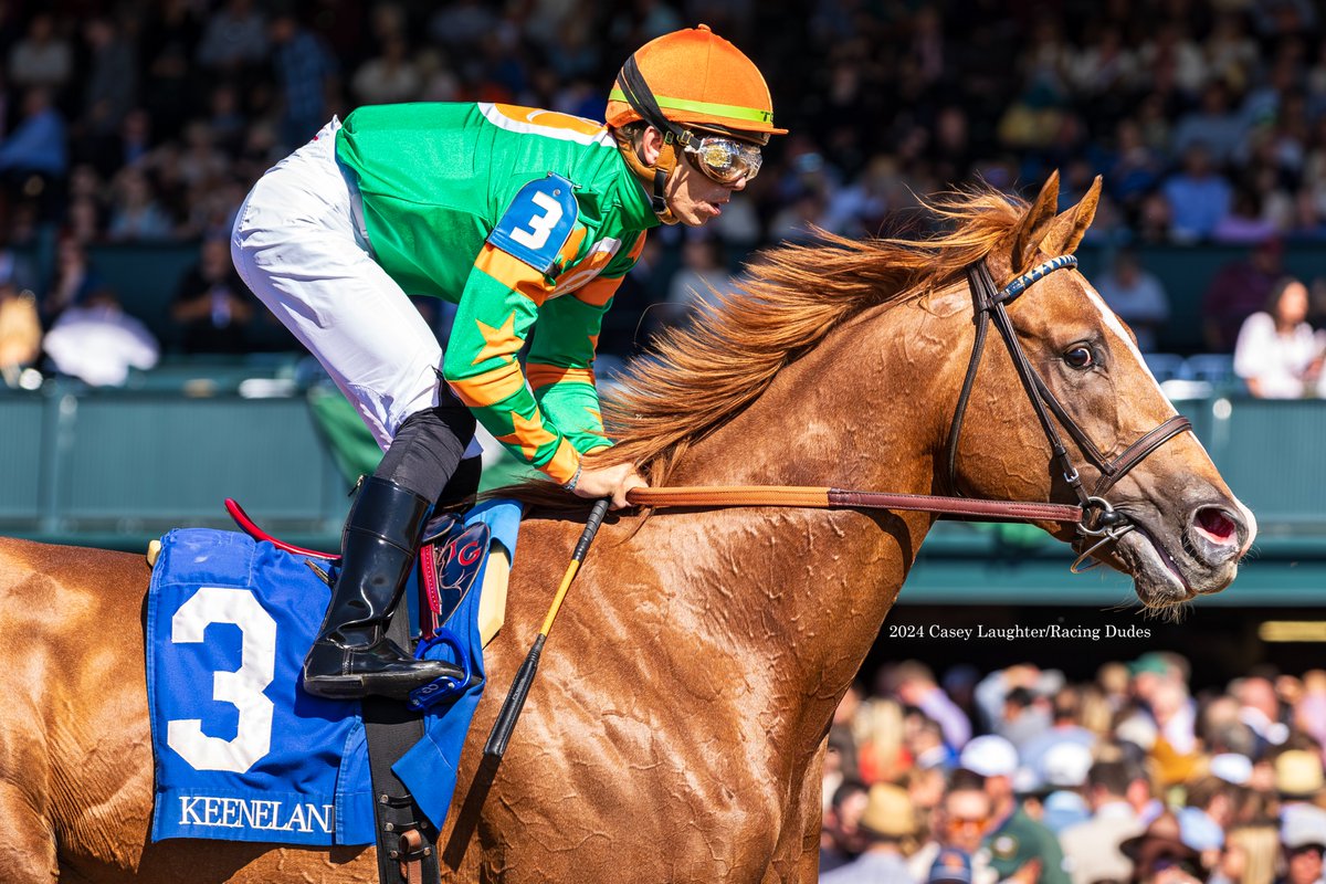 Casey Laughter (@casey_laughter) on Twitter photo Authentic Strike (Authentic; <a href="/spendthriftfarm/">Spendthrift Farm</a>) and <a href="/Tyler_Gaff/">Tyler Gaffalione</a> win an allowance for <a href="/BrissetRodolphe/">rodolphe brisset</a> at <a href="/keenelandracing/">Keeneland Racing</a>! Authentic Strike (Authentic; <a href="/spendthriftfarm/">Spendthrift Farm</a>) and <a href="/Tyler_Gaff/">Tyler Gaffalione</a> win an allowance for <a href="/BrissetRodolphe/">rodolphe brisset</a> at <a href="/keenelandracing/">Keeneland Racing</a>!