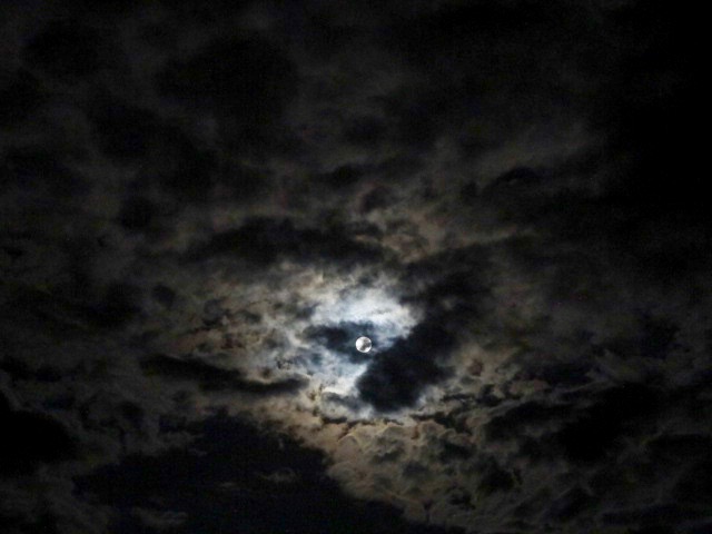 charocm tweet picture