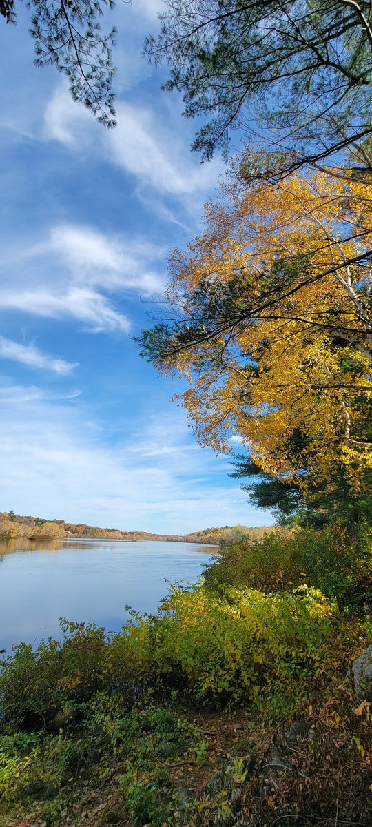 GSn04401's tweet image. Today's #adventureday brought us out for another GORGEOUS Fall walk along the Penobscot River.  It is such a privilege to live here in Maine..we feel very lucky. #getoutside #appreciatenature #mainethings