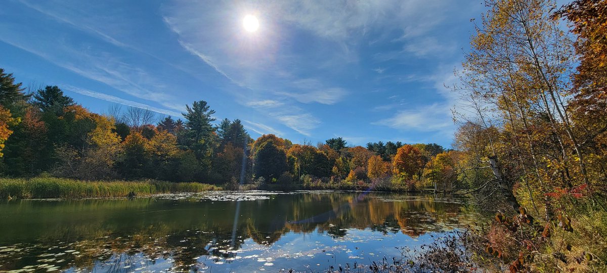GSn04401's tweet image. Today's #adventureday brought us out for another GORGEOUS Fall walk along the Penobscot River.  It is such a privilege to live here in Maine..we feel very lucky. #getoutside #appreciatenature #mainethings