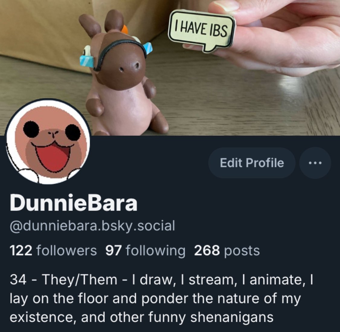 DunnieBara tweet media