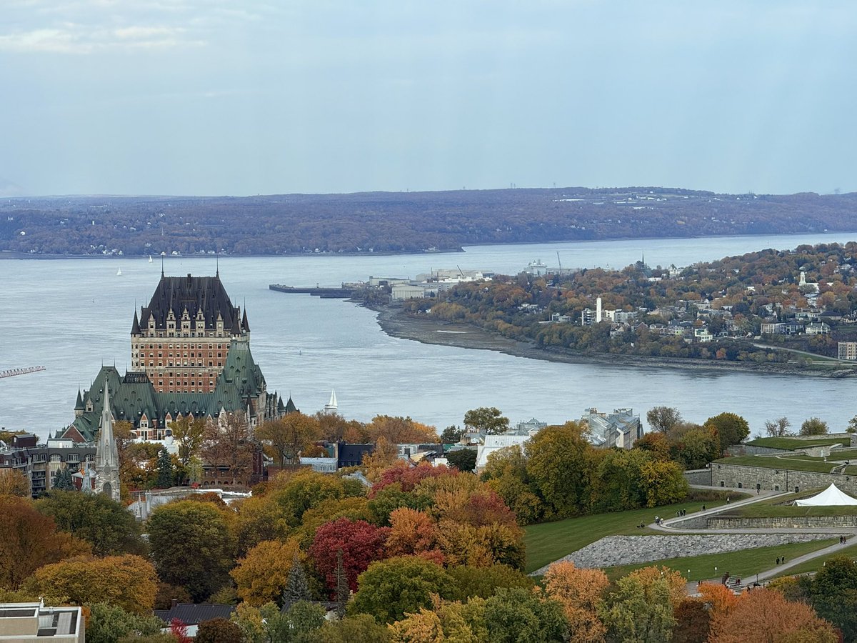 Edel Pérez-López tweet media