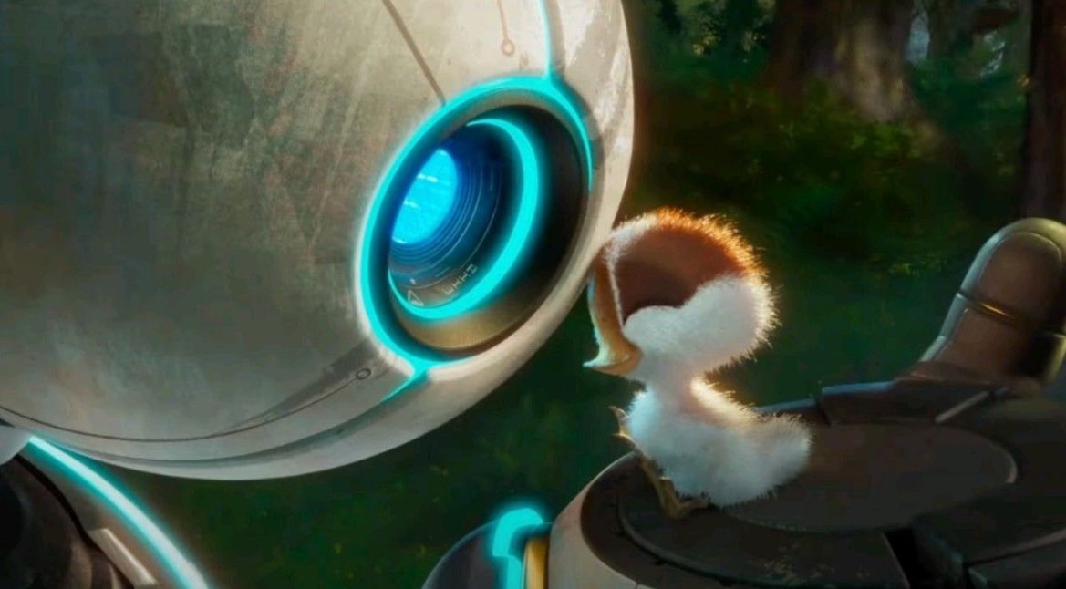 Quin regal #RobotSalvaje