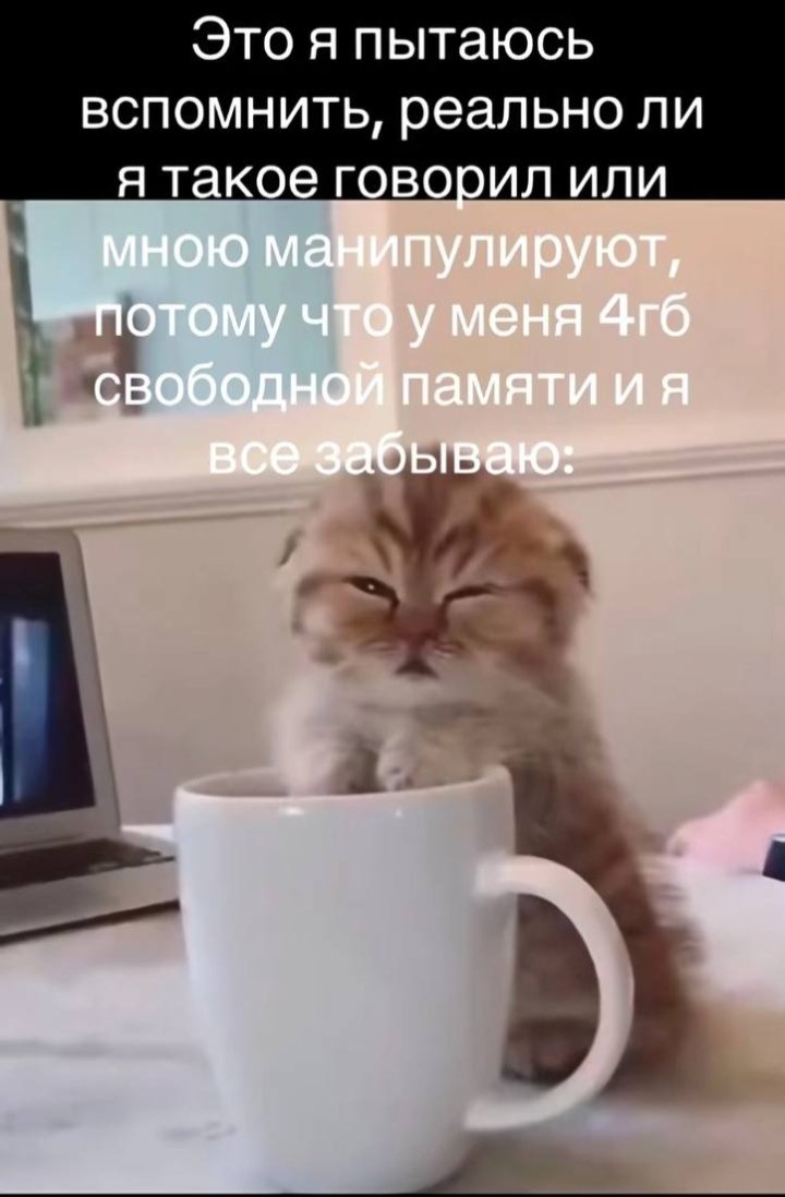 🐸жабья принцесса👑 (@kxiq7u7oc8nsgnc) on Twitter photo 