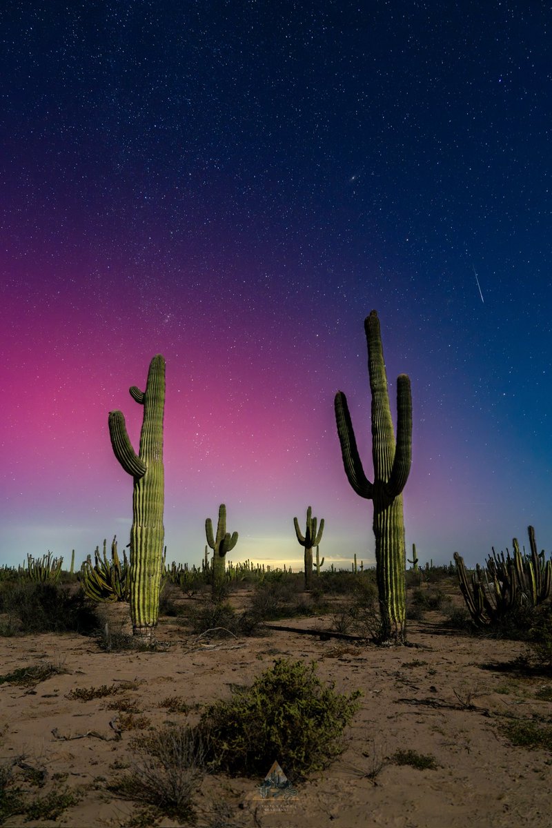 GGerardox2's tweet photo. Aurora boreal del 10/Oct/2024 con una pequeña estrella fugaz adornando aún más el Desierto. SONORA❤️ https://t.co/DHdiT60iCS