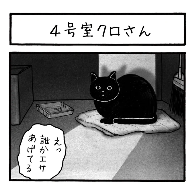 「4号室のクロさん」
クロさんという呼び名は仮です
#工務店の日報 