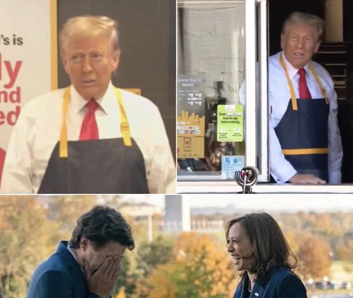 “Can you believe I triggered him so much he put on an apron and pretended to cook fries 🍟 at McDonalds?”