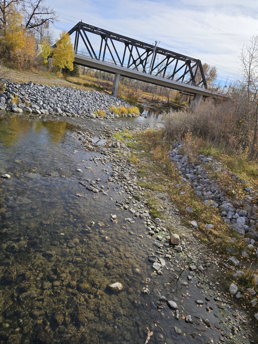 rvink's tweet image. #Walk #WrongWay