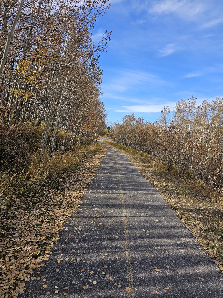 rvink's tweet image. #Walk #WrongWay