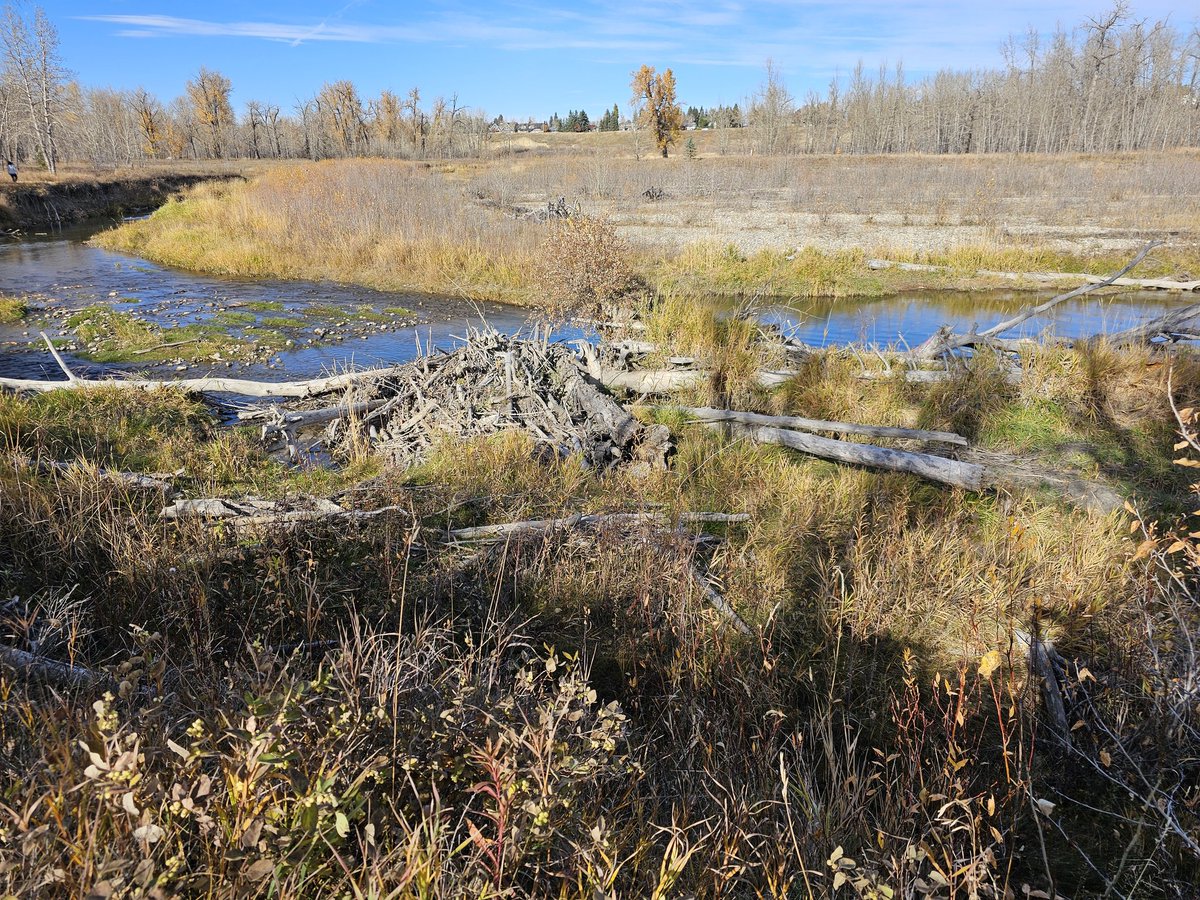 rvink's tweet image. #Walk #WrongWay