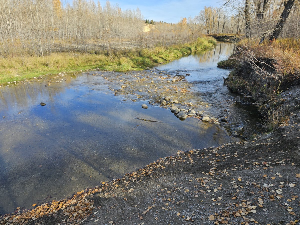 rvink's tweet image. #Walk #WrongWay