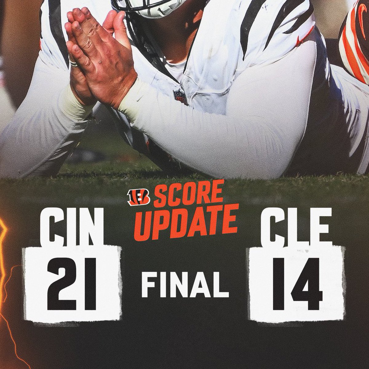 VIVA LA CATS POD 🐻‍❄️🐈‍⬛‼️ tweet media