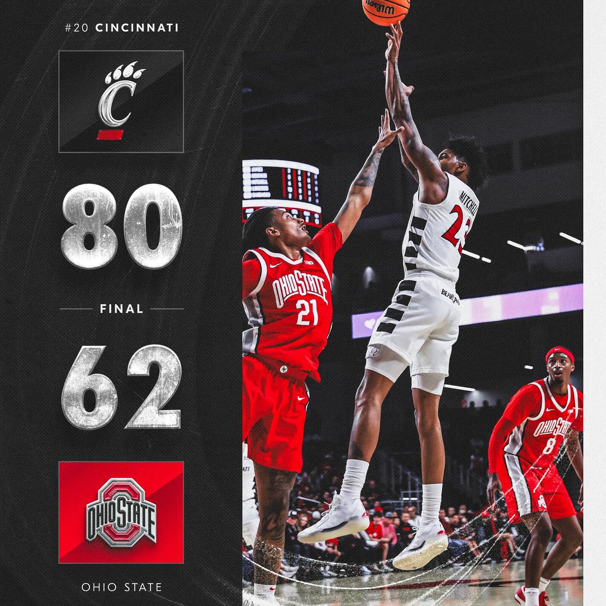 VIVA LA CATS POD 🐻‍❄️🐈‍⬛‼️ tweet media