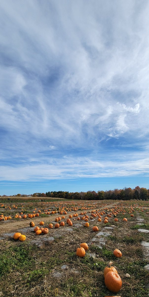 GSn04401's tweet image. The #adventureday continued this afternoon with a trip to one of our favorites..Treworgy Orchards in Levant. We got more honey crisp apples, 2 boxes of apple cider donuts and I got to play with their goats. 😁 #getoutside #goatfriends #mainethings