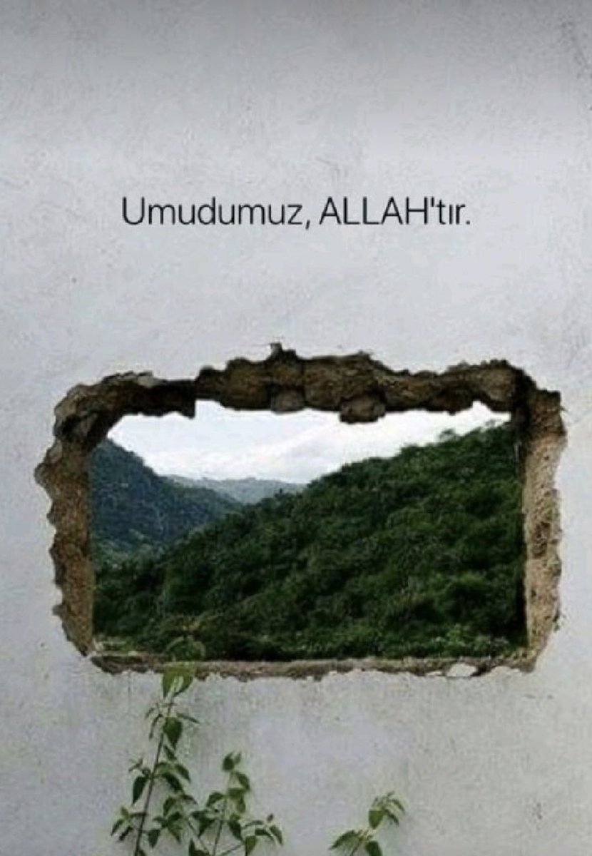 Monna Rosa (@ayaserenat) on Twitter photo 