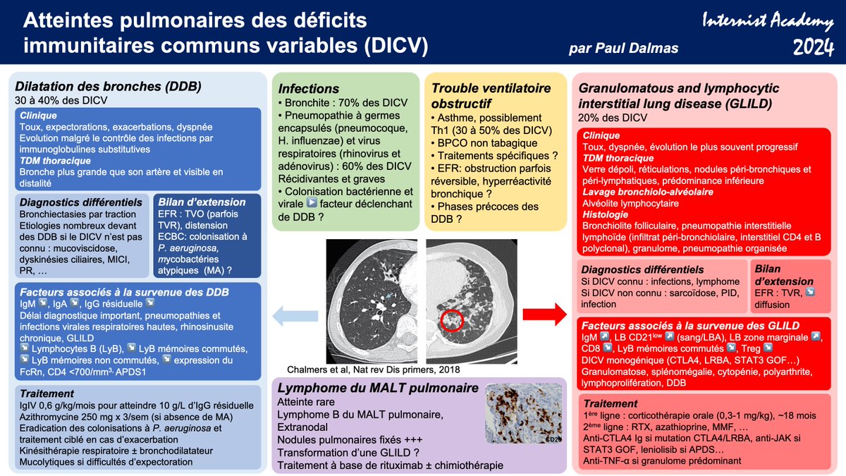 TerrierBen's tweet image. Atteintes pulmonaires des déficits immunitaires communs variables - Par Paul Dalmas (Interne en Médecine Interne, Marseille, France) #poumon #DICV #InternistAcademy 2024