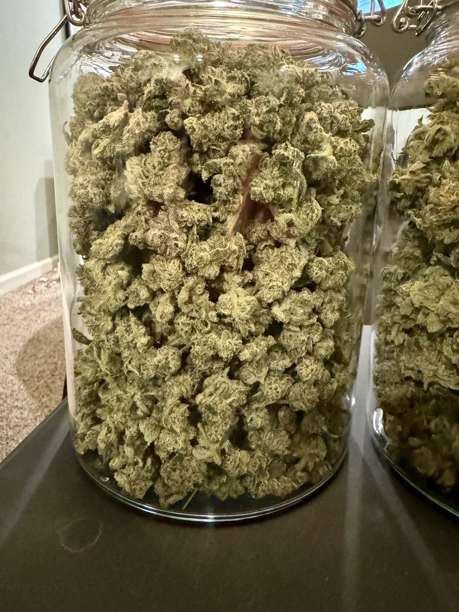 DopeDiscussions's tweet photo. Check out my haul, y’all! https://t.co/Ic5vZVG88m