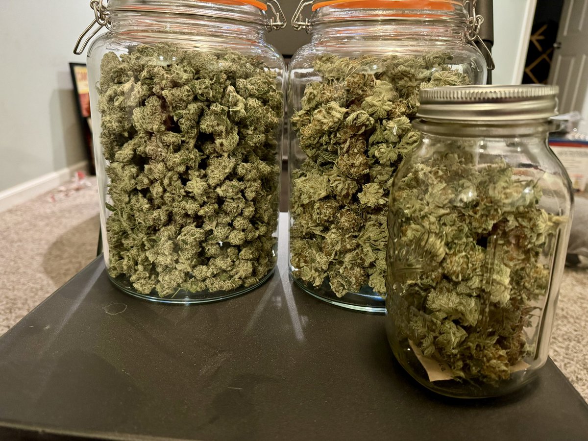 DopeDiscussions's tweet photo. Check out my haul, y’all! https://t.co/Ic5vZVG88m