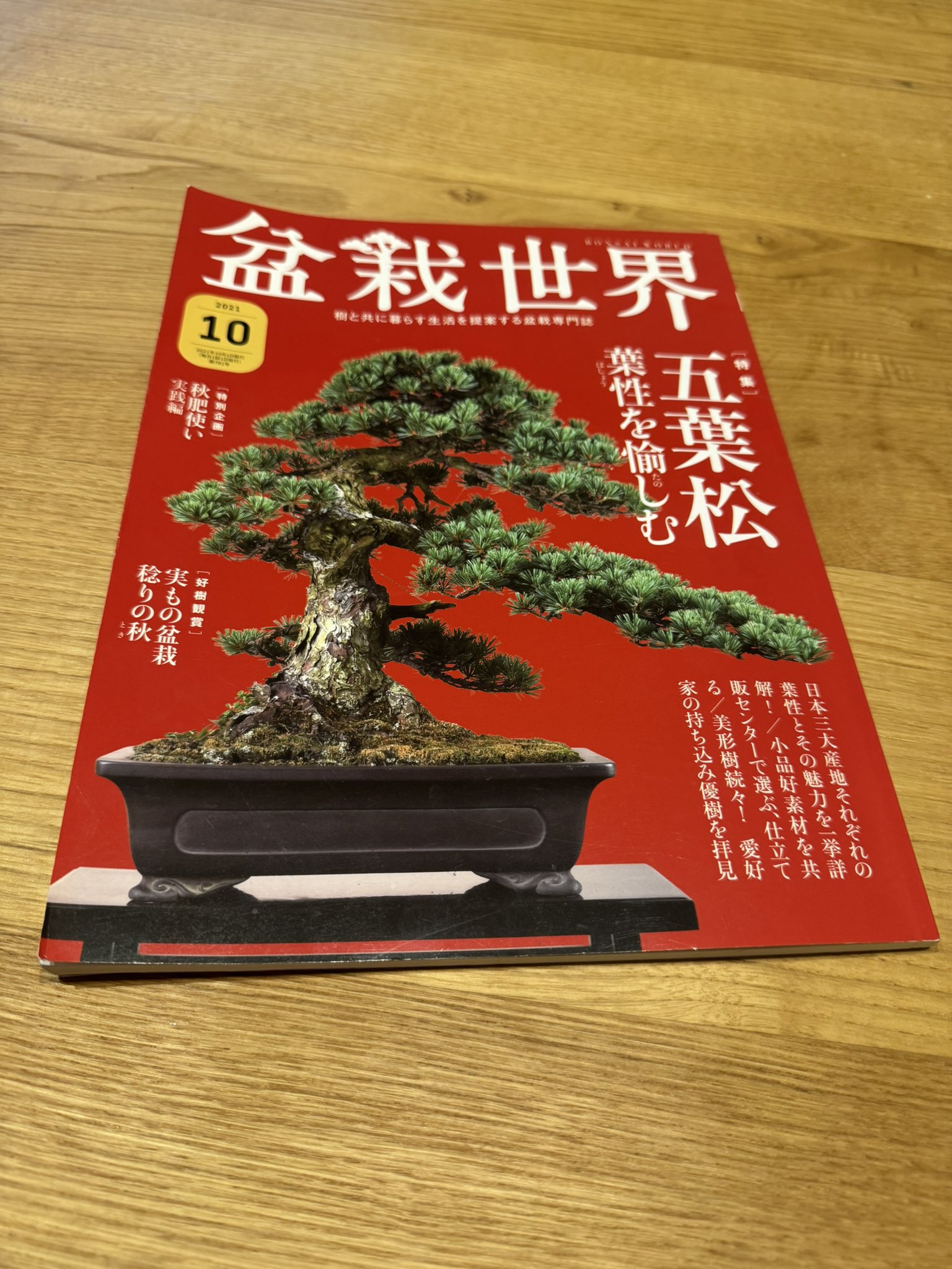 盆栽世界　17冊　＋　その他盆栽　雑誌・本セット 盆栽世界 17冊 ＋ その他盆栽 雑誌・本セット 2638269_n.jpg