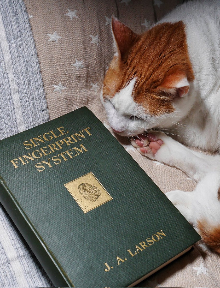 SerScience tweet media