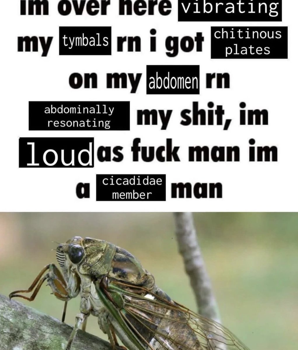 DeviantPigg (@defectivepigg) on Twitter photo 