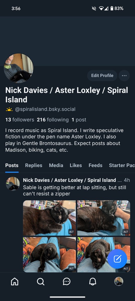 Gentle Brontosaurus 🦕 tweet media