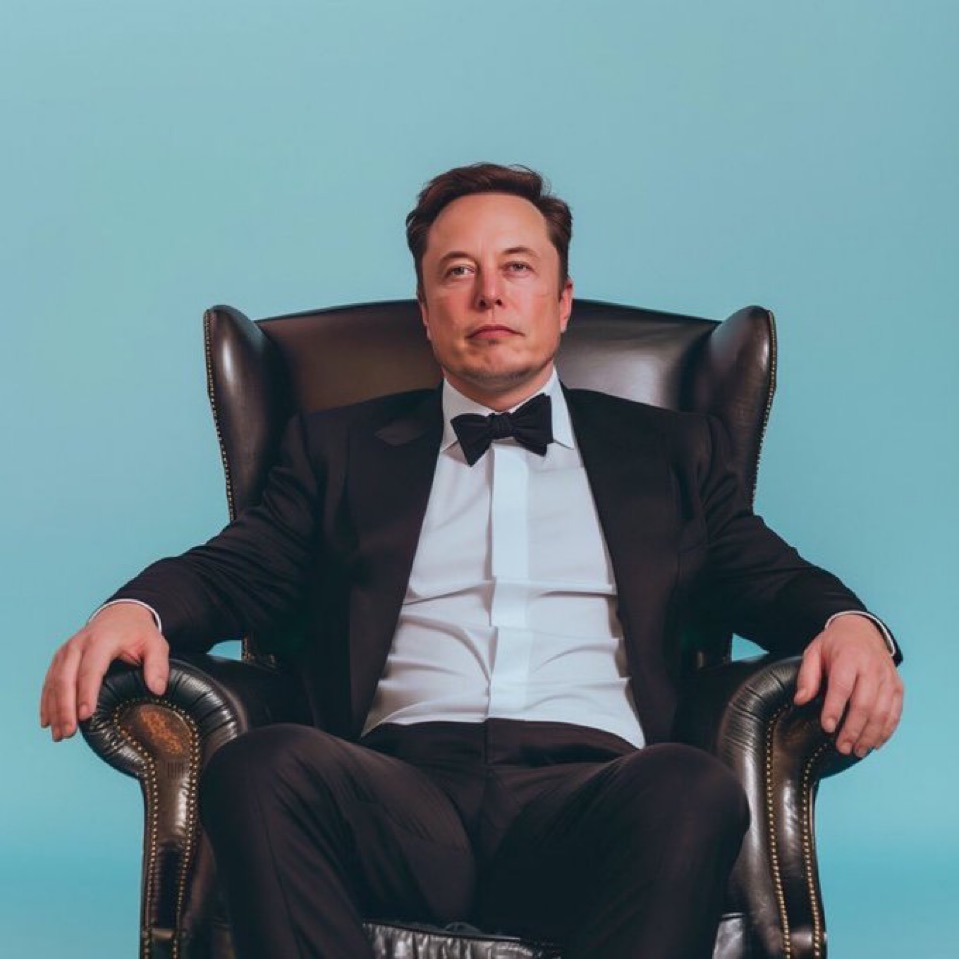 Not Elon Musk tweet media