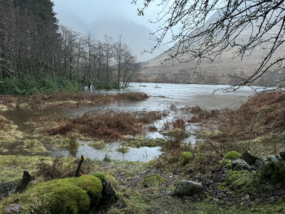 Fiona Fidgin tweet media