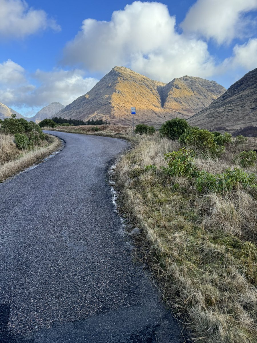 Fiona Fidgin tweet media