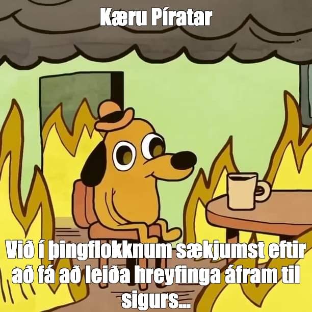 Prófkjör Píratar er hafið. Í framboði er flokksforustan í heild. Fólkið sem barið hefur niður alla starfssemi og nýliðun. 
Staðan er ekkert flókin. Annað hvort losa Píratar sig við flokkseigendafélagið eða kjósendur losa sig við Pírata.