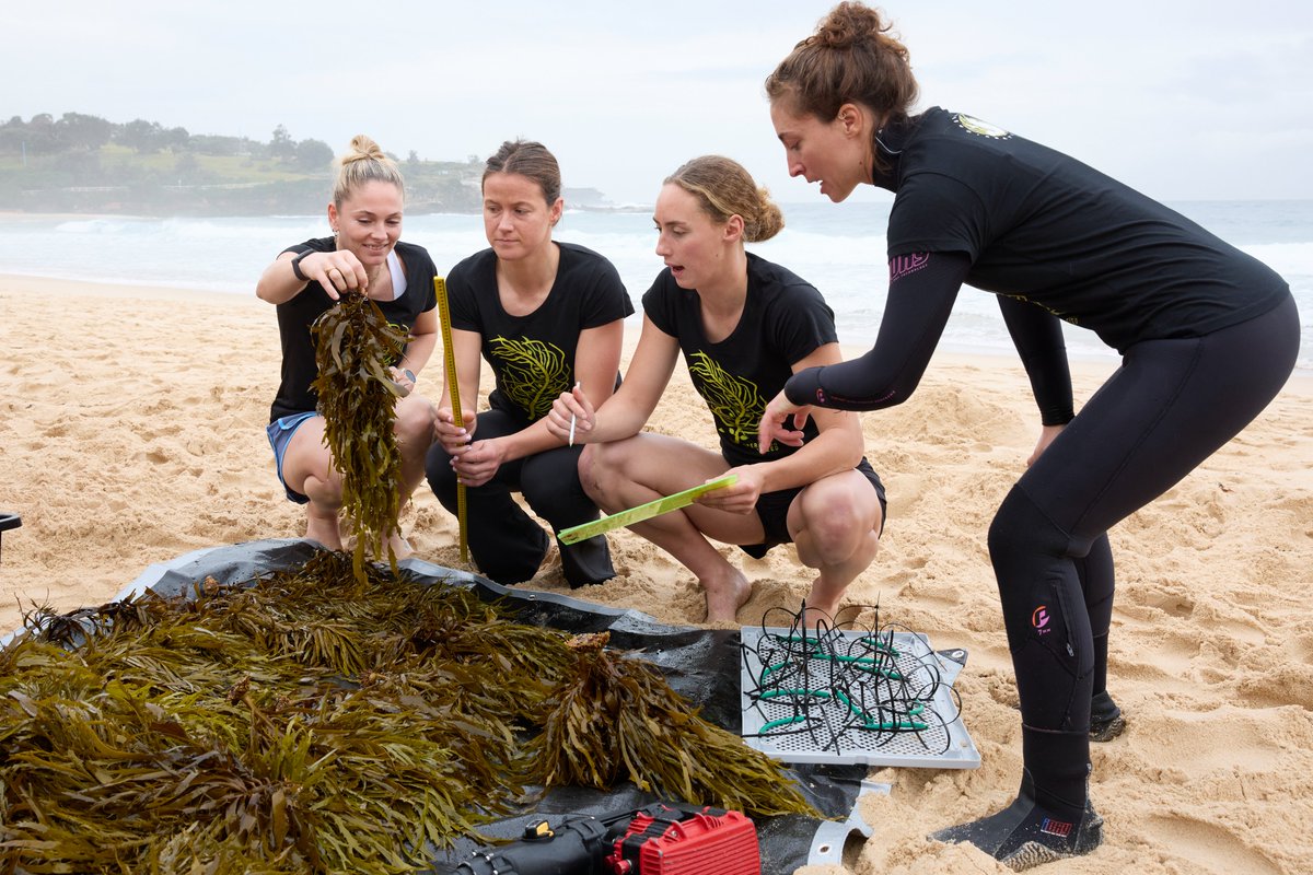 Great Southern Reef Foundation tweet media