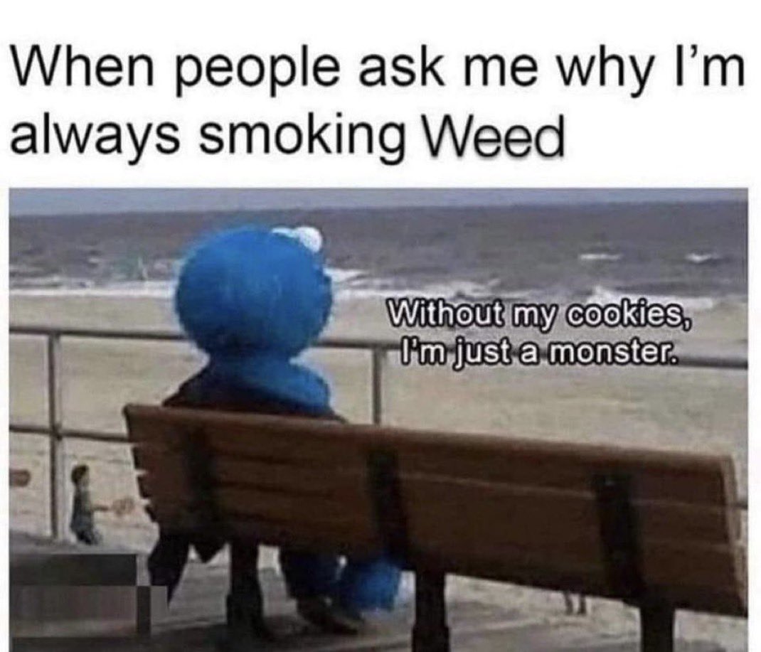 stonersvilla's tweet photo. https://t.co/yv8q7XtgDv