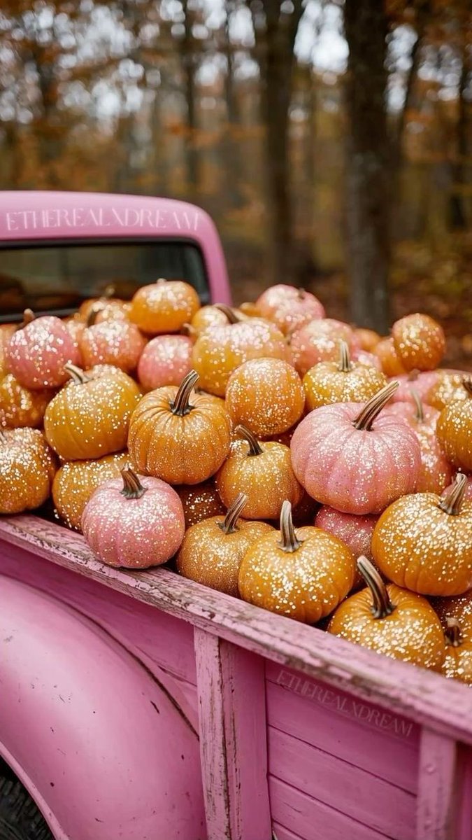 JBellanna's tweet photo. ✨ Fall 🎃✨🎃✨ https://t.co/jOhH5shhs4