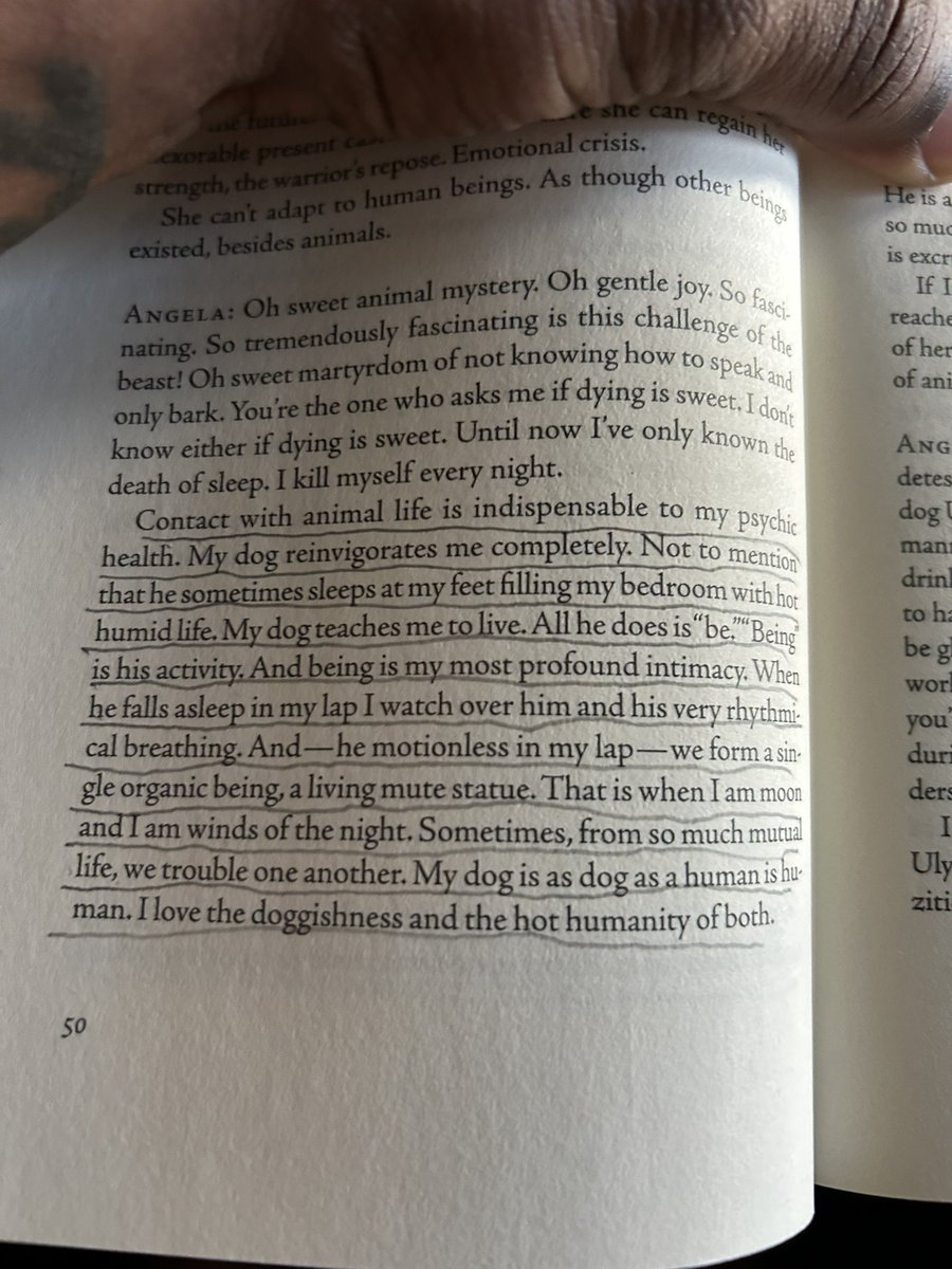 gregoryBertran2's tweet photo. @nerdyxgal Read this and thought you'd enjoy. https://t.co/ciS0YwOzep