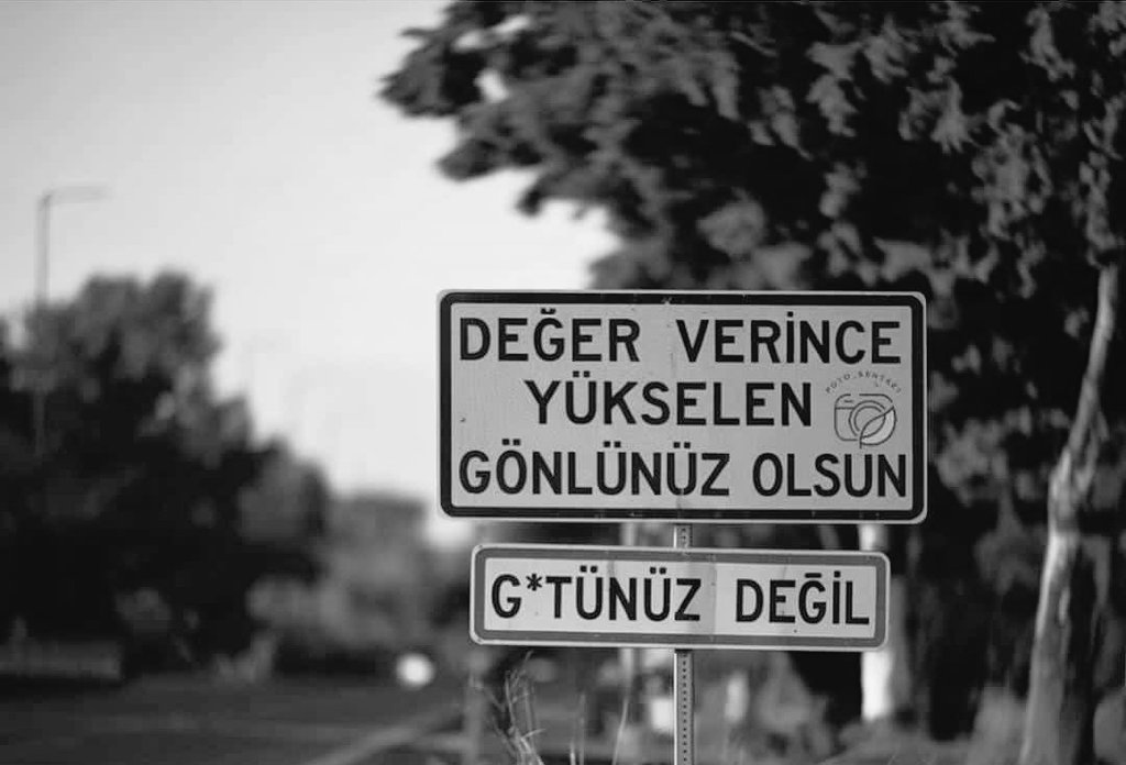 . tweet media
