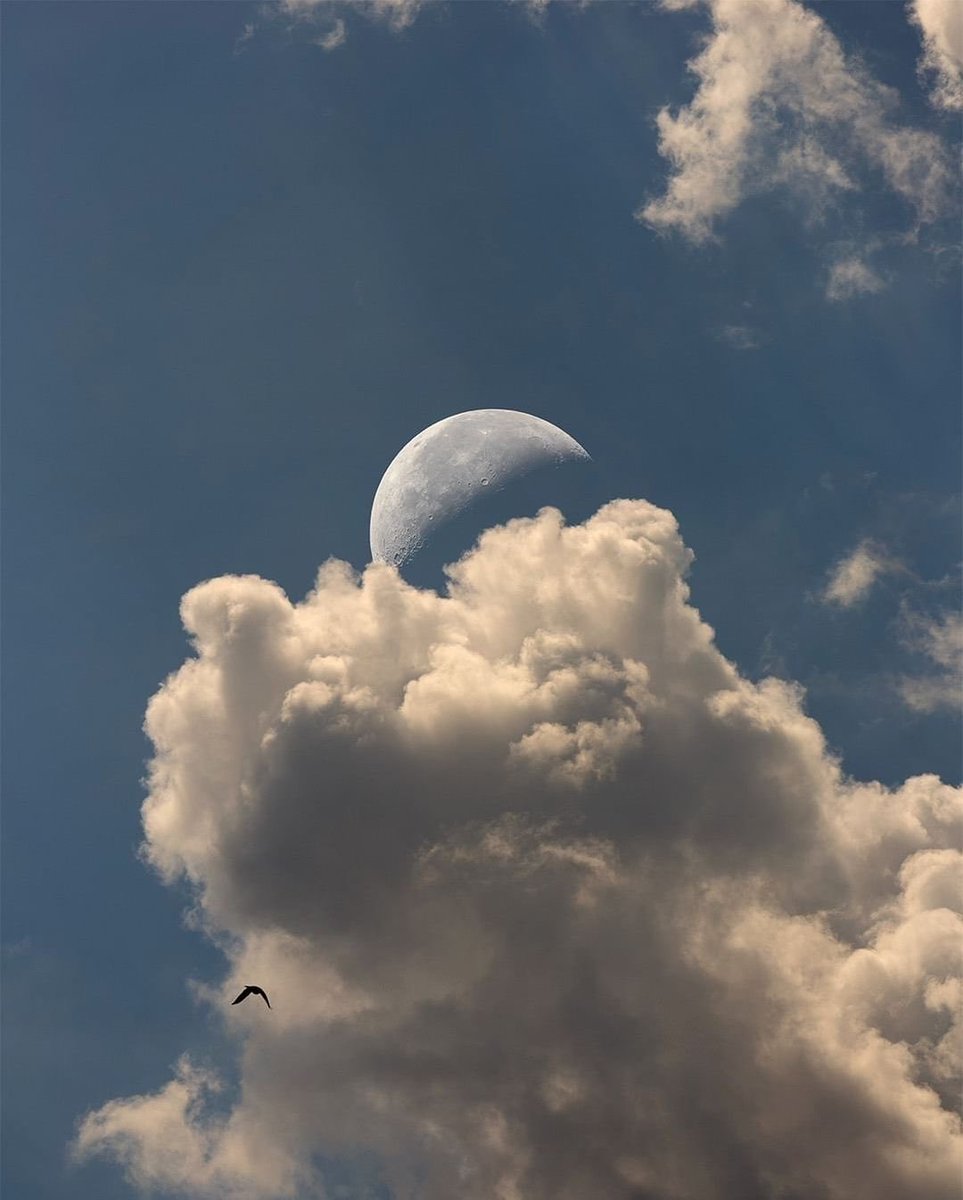 moonloverxjpg's tweet photo. amante de la luna https://t.co/jXVBtz6Twb