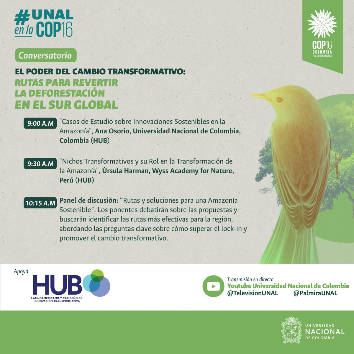 ¡Conéctate y participa en "El poder del cambio transformativo: rutas para revertir la deforestación en el sur global" a través de las transformaciones sostenibles para la Amazonía.🔴En vivo Youtube TelevisiónUNAL @televisionUNAL <a href="/PalmiraUNAL/">PalmiraUNAL</a> <a href="/cta_co/">CTA</a> #COP16EnCali #COP16Cololombia