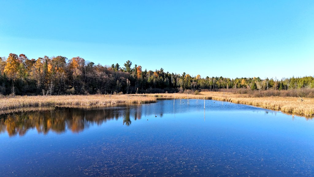 yanneyboy1's tweet photo. Autumn captures taken at the McGowan's bird & wildlife sanctuary!
#autumnphotography #naturesbeauty #georgeville #easterntownships #Quebec
@BetterParties @RicardoCalvrio1 @grub12321 @CeriWillott @333mzma @dunlopfirestone @Mayascribe @stackartist @nascar_oz @PopSmit45346983 https://t.co/manYEsT3WX